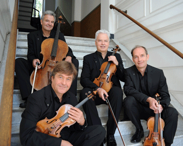 Auryn Quartett RGB 72