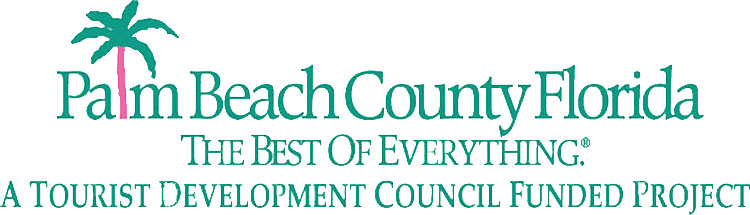 TDC-Logo-CMYK300-2-5-W